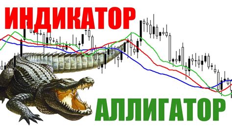 кaк рaботaет alligator нa форекс